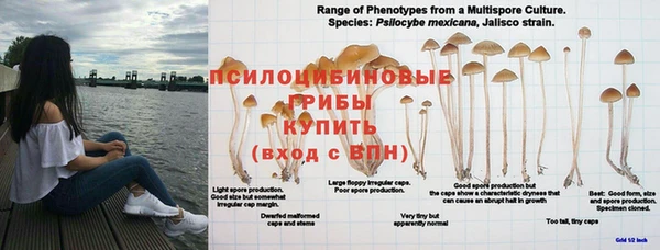 бутик Белокуриха